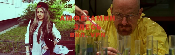 PSILOCYBIN Заводоуковск