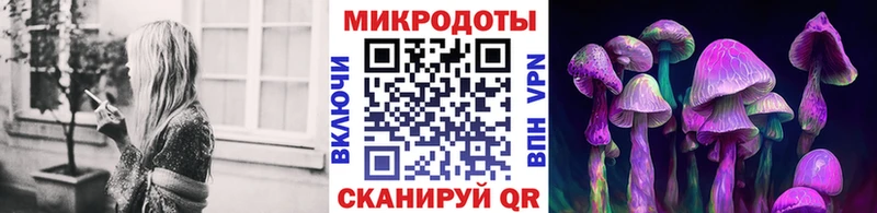 Псилоцибиновые грибы прущие грибы  Купить  Валдай 
